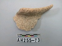 藏品(紅色粗砂陶口緣殘件)的圖片